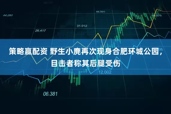 策略赢配资 野生小麂再次现身合肥环城公园，目击者称其后腿受伤