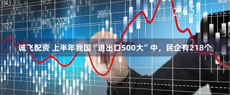 诚飞配资 上半年我国“进出口500大”中，民企有218个